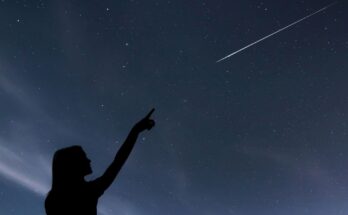 stelle cadenti