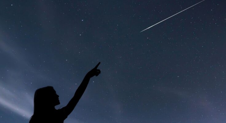 stelle cadenti